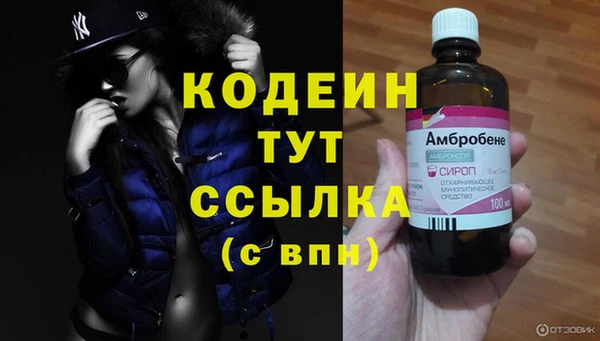 дживик Балахна