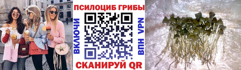 Псилоцибиновые грибы мухоморы  MEGA зеркало  Пудож 