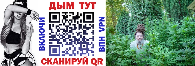 Каннабис Amnesia  ОМГ ОМГ ТОР  Пудож 